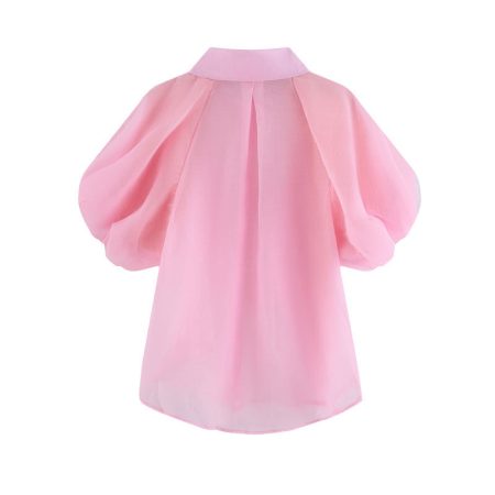 Short-Sleeved Blouse With Short-Sleeved Design For Women Foreign Chiffon Shirt